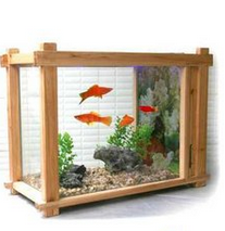 生态鱼缸排行榜