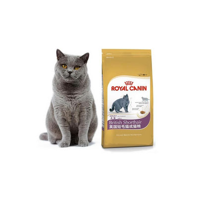 成猫猫粮排行榜